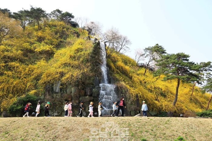 2025 화순 봄꽃 축제(개미산전망대, 인공폭포, 어린이들)