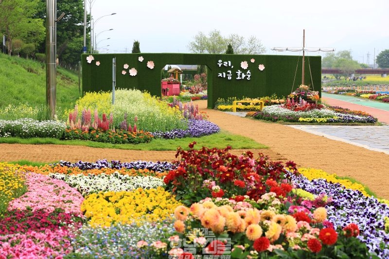 꽃강길 상상정원 내 봄꽃 전경