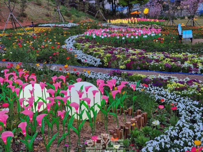 화순군 2025봄꽃축제 전경